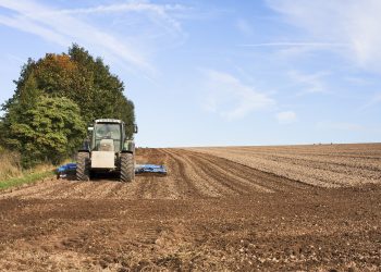“Воєнне” звільнення для аграріїв-спрощенців: уточнюємо без проблем
