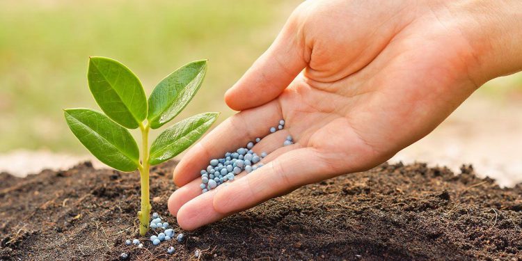 Програма USAID АГРО надасть 12 000 тонн мінеральних добрив для українських агровиробників