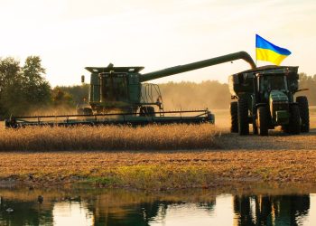 ЗБІР УРОЖАЮ ЗЕРНА: ОБЛІК ОПРИБУТКУВАННЯ ПРОДУКЦІЇ