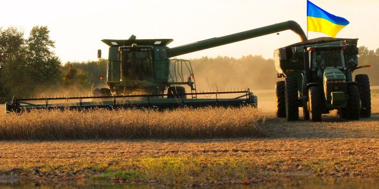 ЗБІР УРОЖАЮ ЗЕРНА: ОБЛІК ОПРИБУТКУВАННЯ ПРОДУКЦІЇ