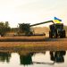 ЗБІР УРОЖАЮ ЗЕРНА: ОБЛІК ОПРИБУТКУВАННЯ ПРОДУКЦІЇ
