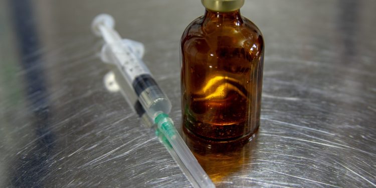 Після перемоги запрацює нова процедура здійснення ветеринарного фармакологічного нагляду