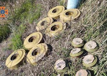 Українським агровиробникам компенсуватимуть частину витрат на послуги розмінування