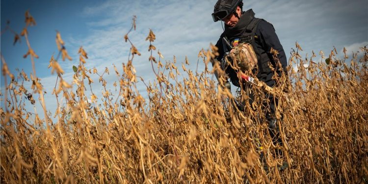 Держава спрямує 2 млрд грн аграріям на компенсацію закупівель послуг з розмінування