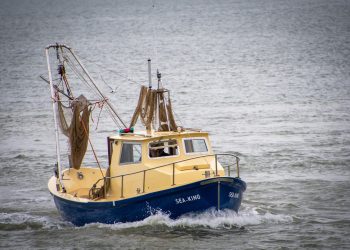 Уряд запровадив декларування права на промислове рибальство та дослідний вилов в електронній формі