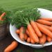 Контрактація сільськогосподарської продукції з державним підприємством: зменшуємо ризики