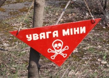 ВИЗНАННЯ ЗАМІНОВАНИХ ЗЕМЕЛЬ НЕПРИДАТНИМИ ДЛЯ КОРИСТУВАННЯ: ЯКА В ЦЬОМУ ПОТРЕБА