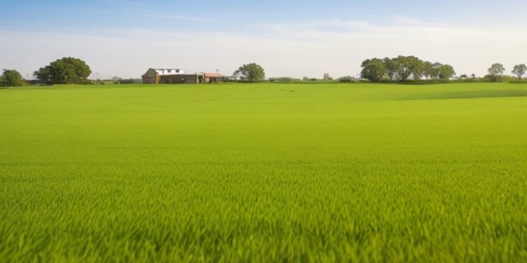 ЧИ СПЛАЧУВАТИ ЄДИНИЙ ПОДАТОК IV ГРУПИ ЗА ОРЕНДОВАНІ ЗЕМЛІ, ЗА ЯКИМИ НЕ ЗАРЕЄСТРОВАНО ДОГОВОРІВ ОРЕНДИ