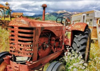 Постраждалі від війни фермерські господарства мають змогу відновити свою діяльність