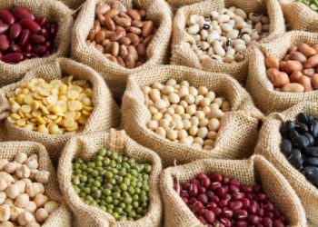 Постраждалі від війни господарства можуть безкоштовно отримати насіння овочів для весняної посівної