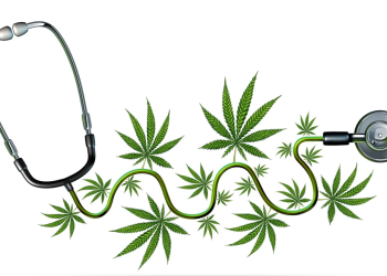 Легалізація медичного канабісу: хто зможе вирощувати та переробляти коноплі